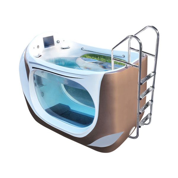 9961 underwater treadmill with Treadmill Training Machine - Image 3