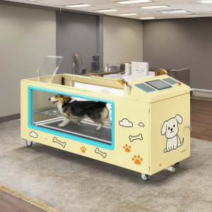 Underwater Treadmill for dog