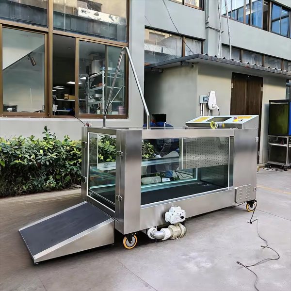 Canine hydrotherapy Rehabilitation Underwater Treadmill-CT-9933-U - Image 6