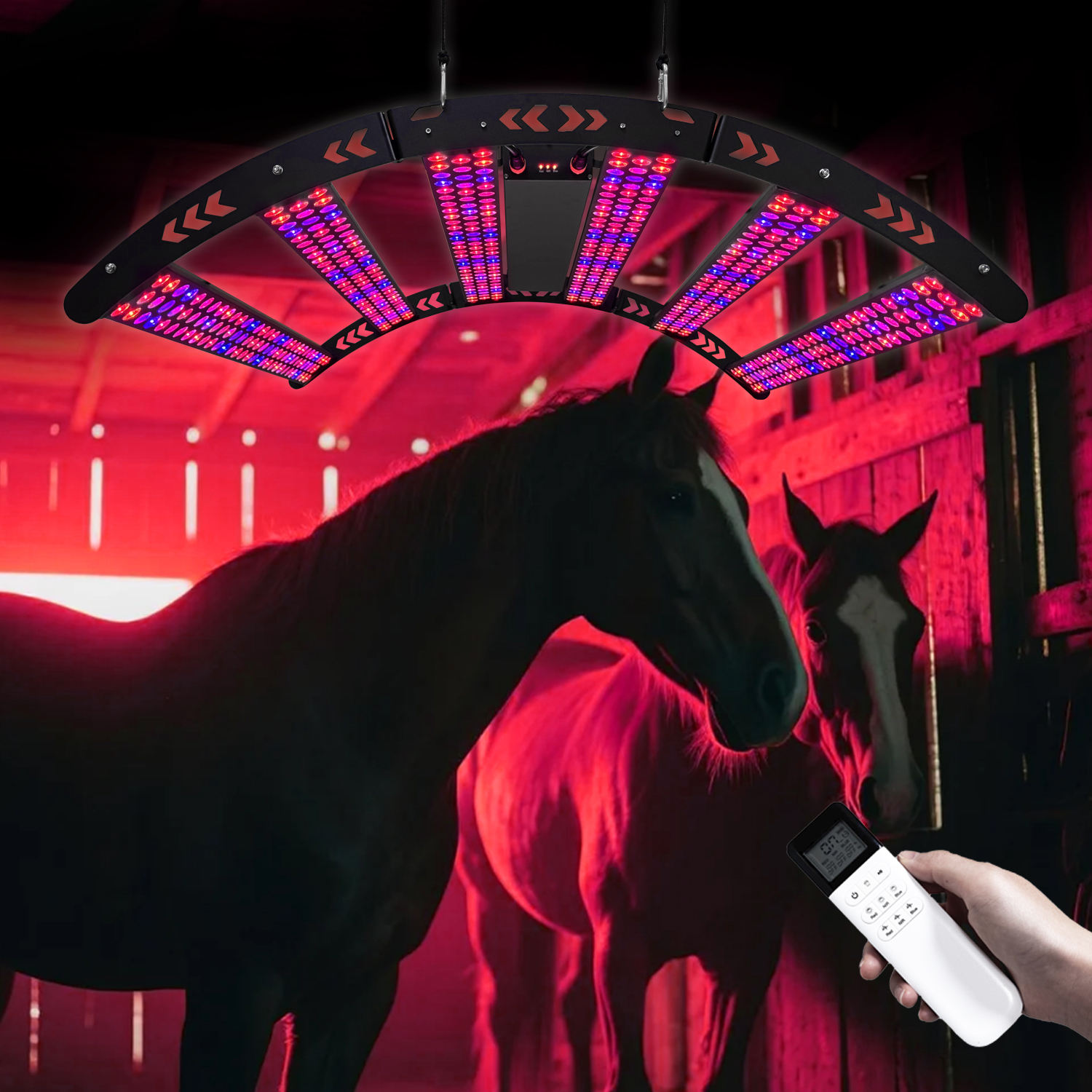 Equine Solarium