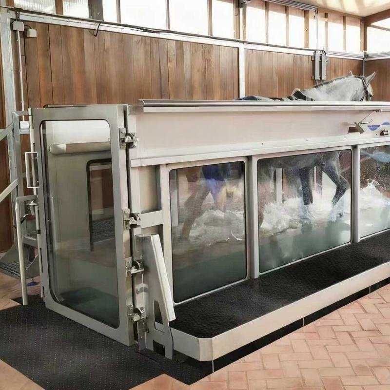 Equine Water Treadmill (5)