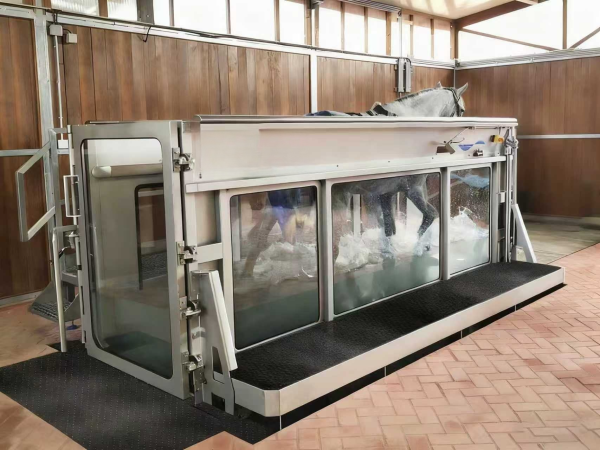 Equine Underwater Treadmill for Horse Rehabilitation-ET-9941-U - Image 2