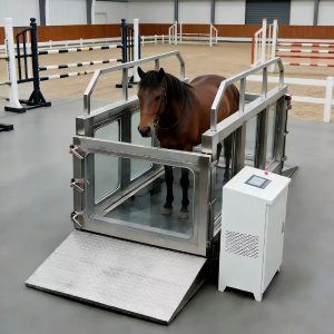 Equine Underwater Treadmill for Horse Rehabilitation-ET-9940-U